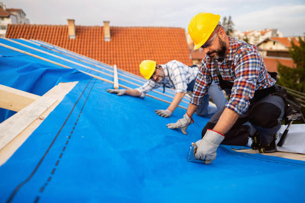 Best Roof Moss and Algae Removal  in Vley, AL