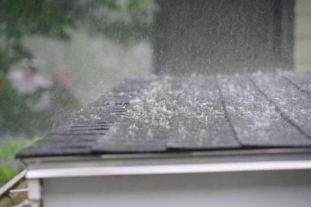 Best Green or Eco-Friendly Roofing Solutions  in Vley, AL