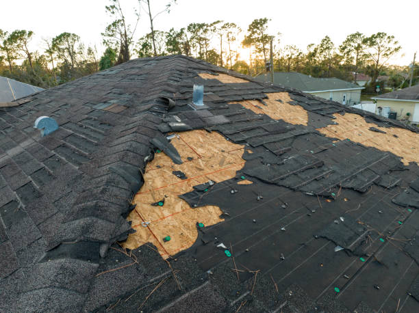 Skylights in Valley, AL