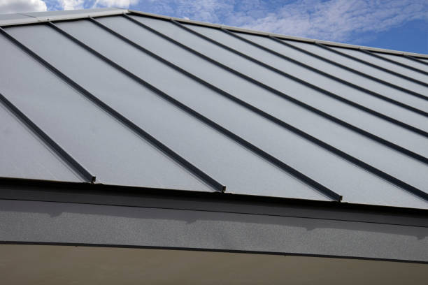 Best Gutter Installation and Repair  in Vley, AL